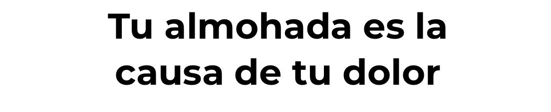 Banner 02