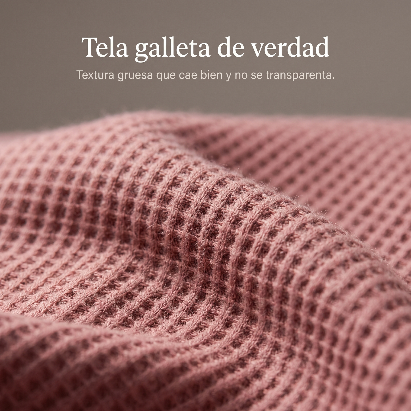 Detalle tela galleta
